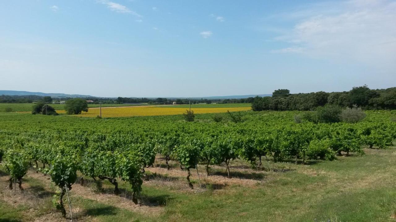 Ferme De Palumiane - Chambres Climatisees Visan Экстерьер фото